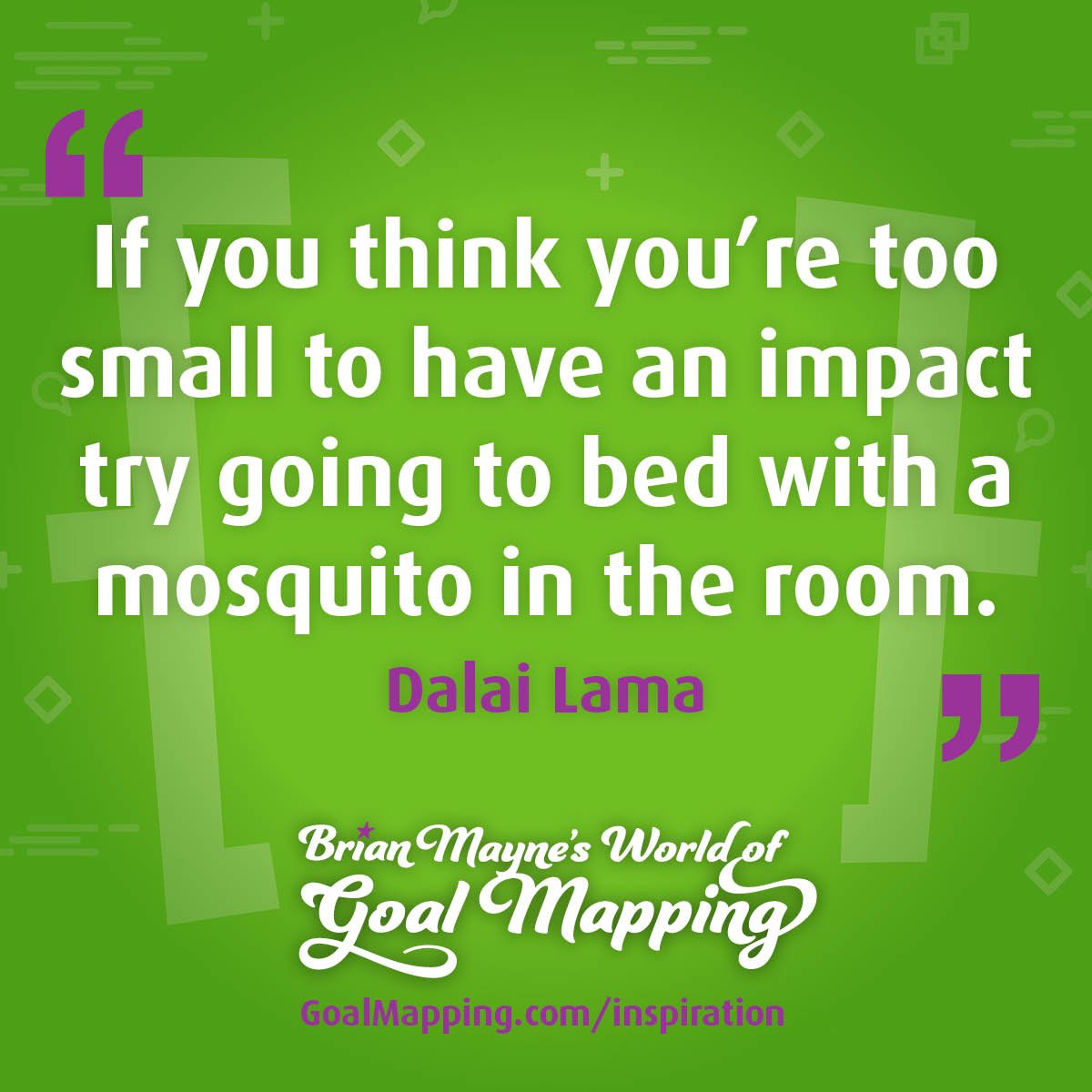 "If you think you're too small to have an impact try going to bed with a mosquito in the room." Dalai Lama